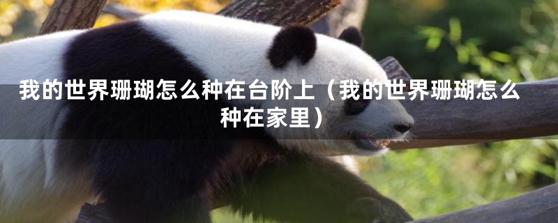 我的世界珊瑚怎么种在台阶上(我的世界珊瑚怎么种在家里)