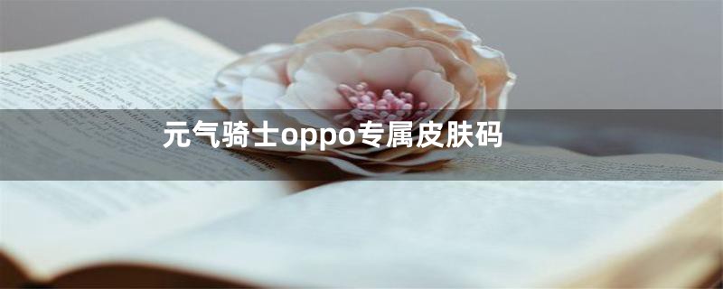 元气骑士oppo专属皮肤码