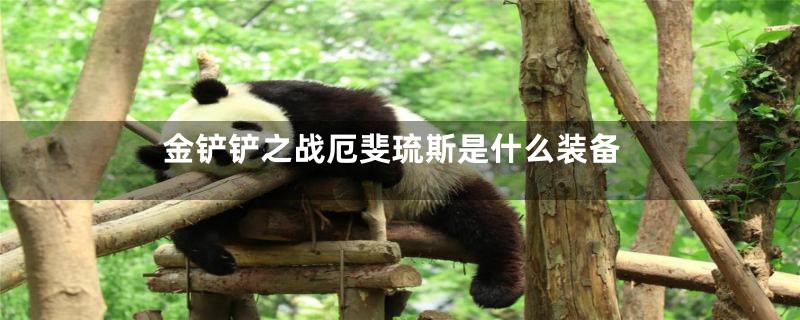 金铲铲之战厄斐琉斯是什么装备