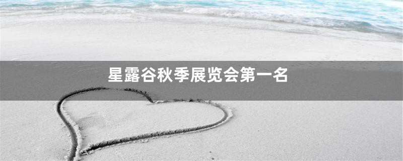 星露谷秋季展览会第一名