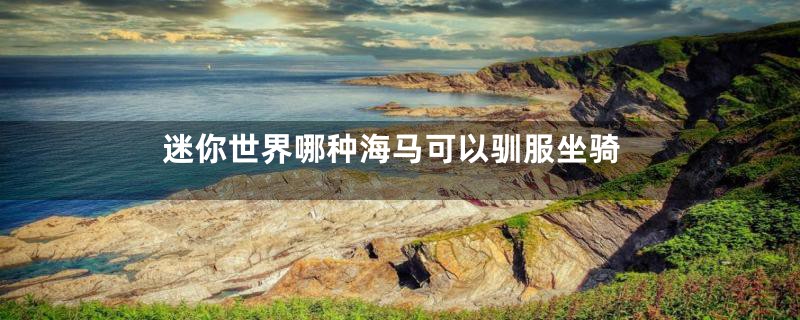 迷你世界哪种海马可以驯服坐骑