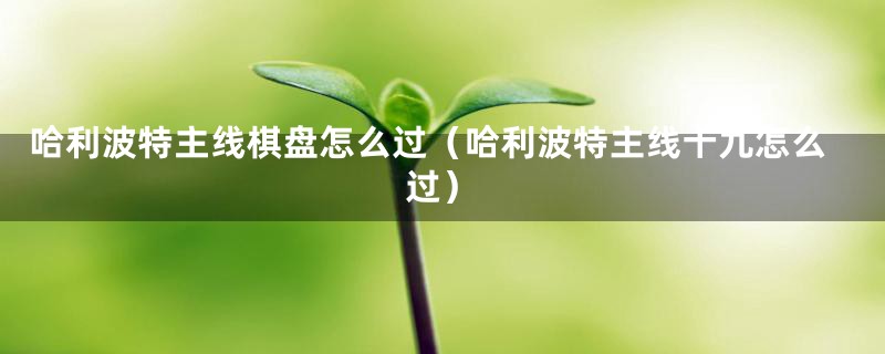 哈利波特主线棋盘怎么过(哈利波特主线十九怎么过)