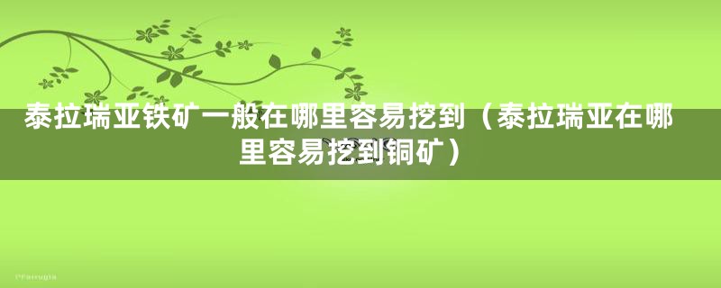泰拉瑞亚铁矿一般在哪里容易挖到(泰拉瑞亚在哪里容易挖到铜矿)