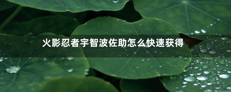 火影忍者宇智波佐助怎么快速获得