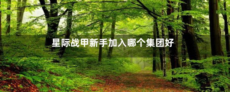 星际战甲新手加入哪个集团好