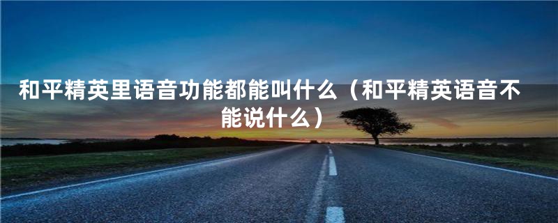 和平精英里语音功能都能叫什么（和平精英语音不能说什么）