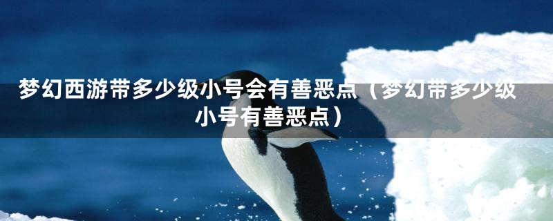 梦幻西游带多少级小号会有善恶点（梦幻带多少级小号有善恶点）