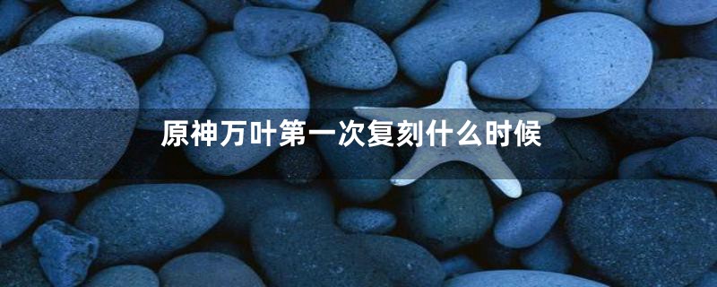 原神万叶第一次复刻什么时候