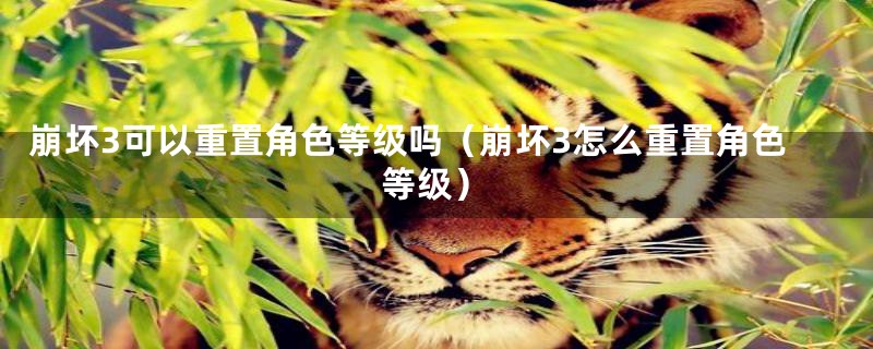 崩坏3可以重置角色等级吗（崩坏3怎么重置角色等级）