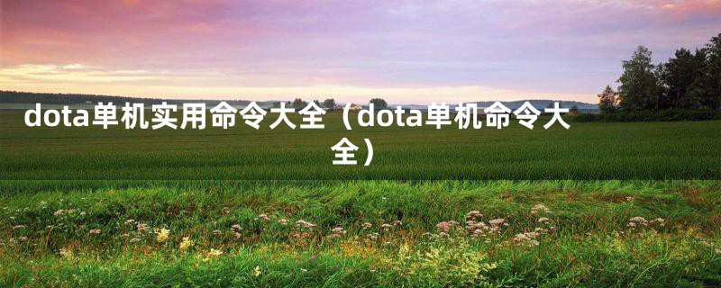 dota单机实用命令大全（dota单机命令大全）