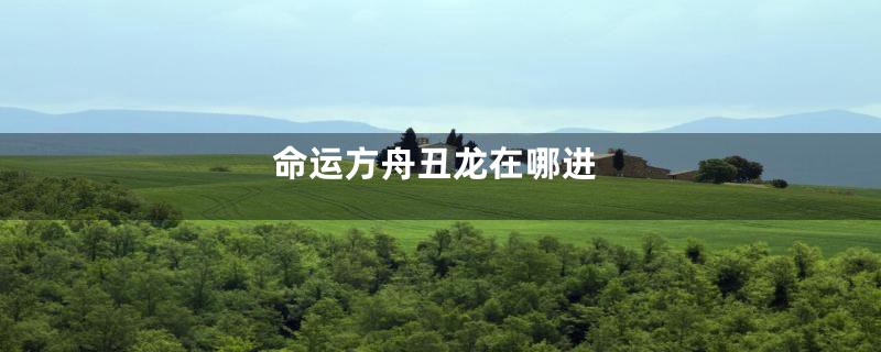 命运方舟丑龙在哪进
