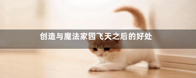创造与魔法家园飞天之后的好处