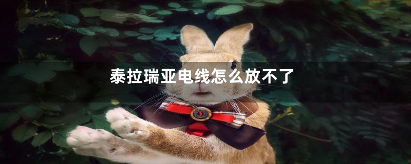 泰拉瑞亚电线怎么放不了