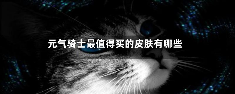 元气骑士最值得买的皮肤有哪些