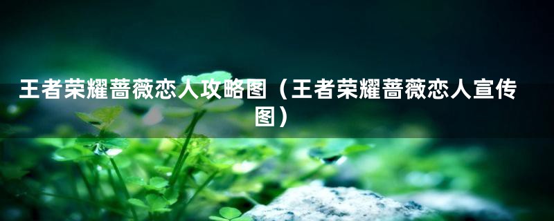 王者荣耀蔷薇恋人攻略图（王者荣耀蔷薇恋人宣传图）