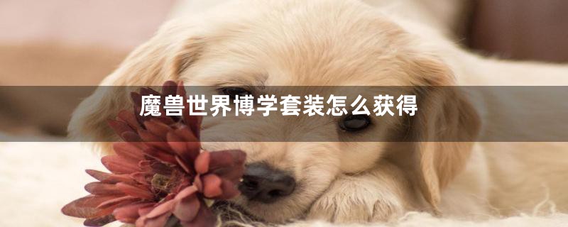 魔兽世界博学套装怎么获得