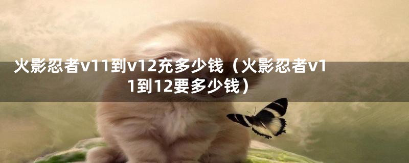火影忍者v11到v12充多少钱(火影忍者v11到12要多少钱)