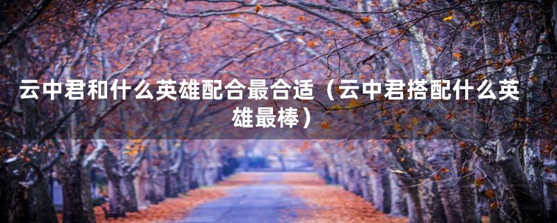 云中君和什么英雄配合最合适(云中君搭配什么英雄最棒)