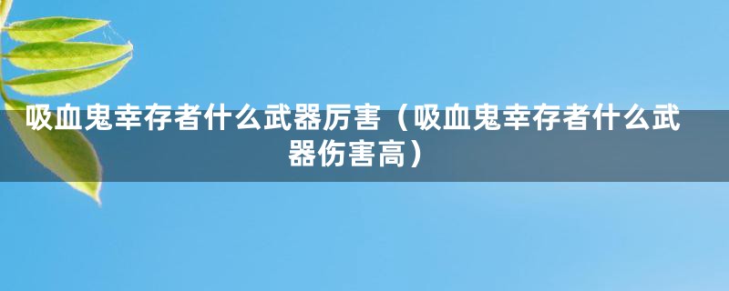 吸血鬼幸存者什么武器厉害（吸血鬼幸存者什么武器伤害高）