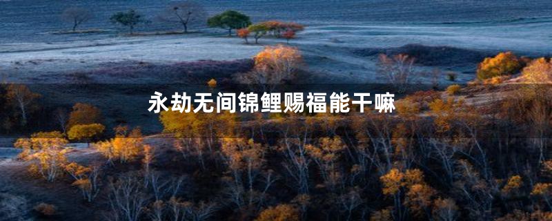 永劫无间锦鲤赐福能干嘛