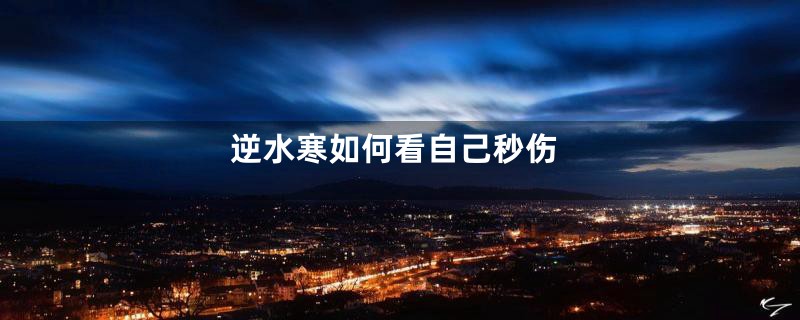 逆水寒如何看自己秒伤
