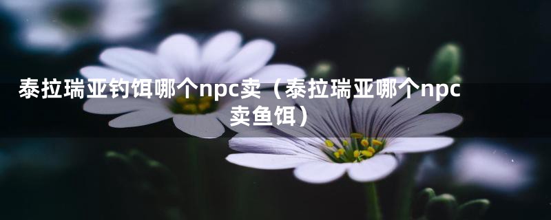 泰拉瑞亚钓饵哪个npc卖(泰拉瑞亚哪个npc卖鱼饵)