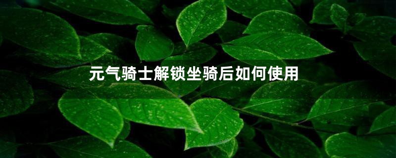 元气骑士解锁坐骑后如何使用