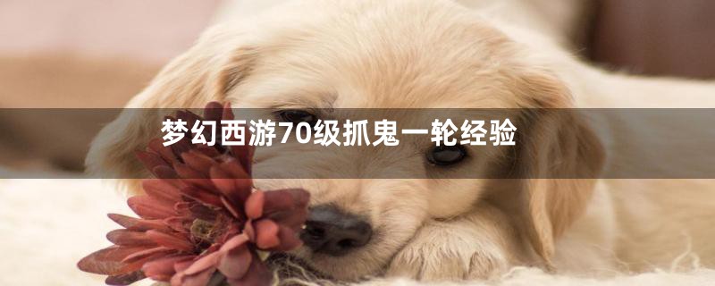 梦幻西游70级抓鬼一轮经验