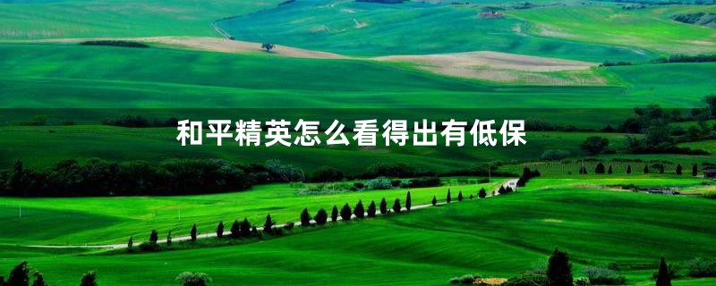 和平精英怎么看得出有低保