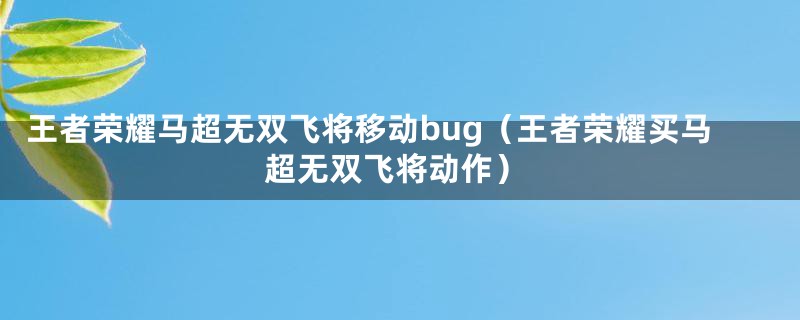 王者荣耀马超无双飞将移动bug（王者荣耀买马超无双飞将动作）