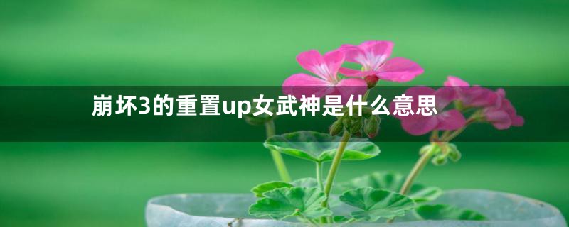 崩坏3的重置up女武神是什么意思