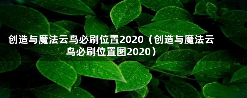 创造与魔法云鸟必刷位置2020（创造与魔法云鸟必刷位置图2020）