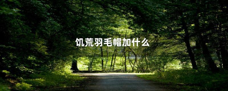 饥荒羽毛帽加什么