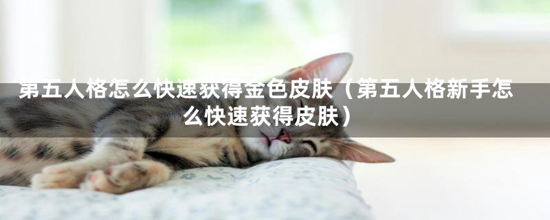 第五人格怎么快速获得金色皮肤（第五人格新手怎么快速获得皮肤）