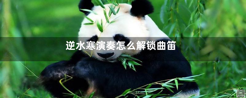 逆水寒演奏怎么解锁曲笛