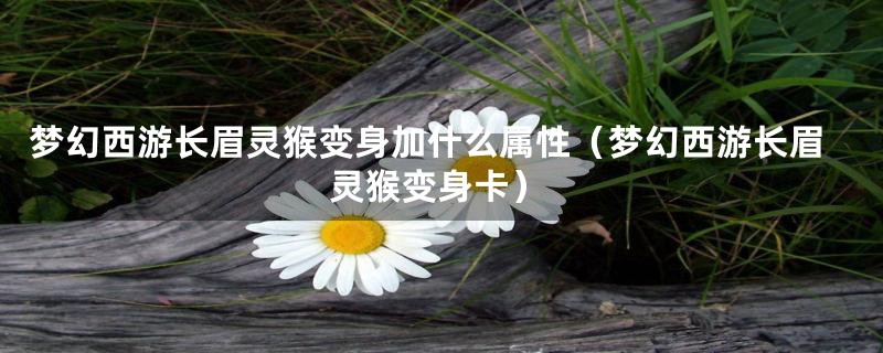 梦幻西游长眉灵猴变身加什么属性（梦幻西游长眉灵猴变身卡）