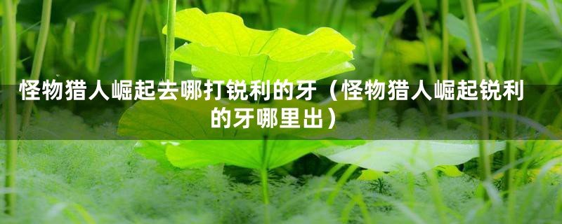 怪物猎人崛起去哪打锐利的牙(怪物猎人崛起锐利的牙哪里出)