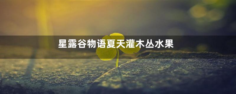 星露谷物语夏天灌木丛水果