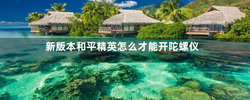 新版本和平精英怎么才能开陀螺仪