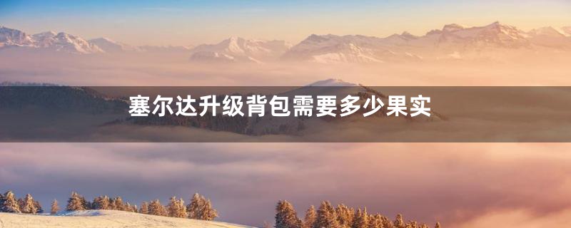 塞尔达升级背包需要多少果实