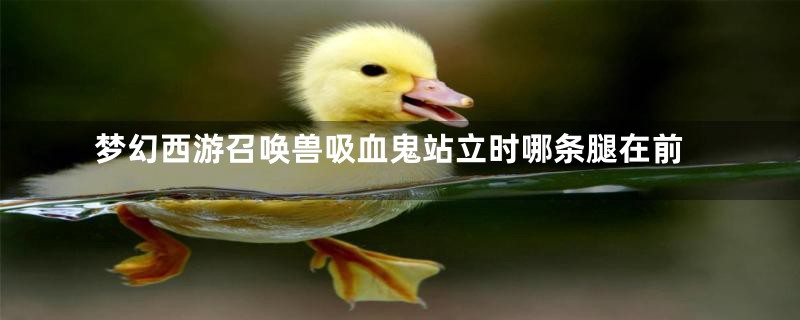梦幻西游召唤兽吸血鬼站立时哪条腿在前