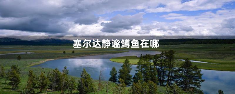 塞尔达静谧鳟鱼在哪