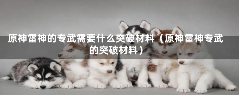 原神雷神的专武需要什么突破材料（原神雷神专武的突破材料）