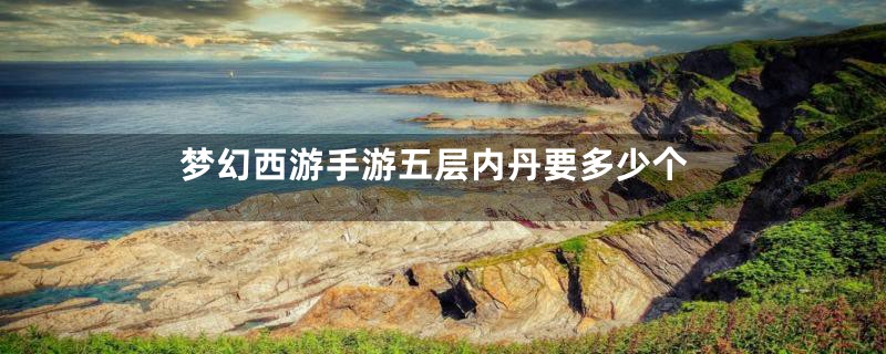 梦幻西游手游五层内丹要多少个