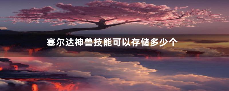 塞尔达神兽技能可以存储多少个