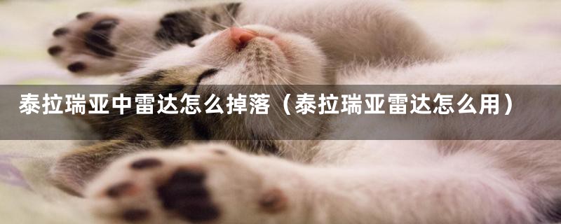 泰拉瑞亚中雷达怎么掉落（泰拉瑞亚雷达怎么用）