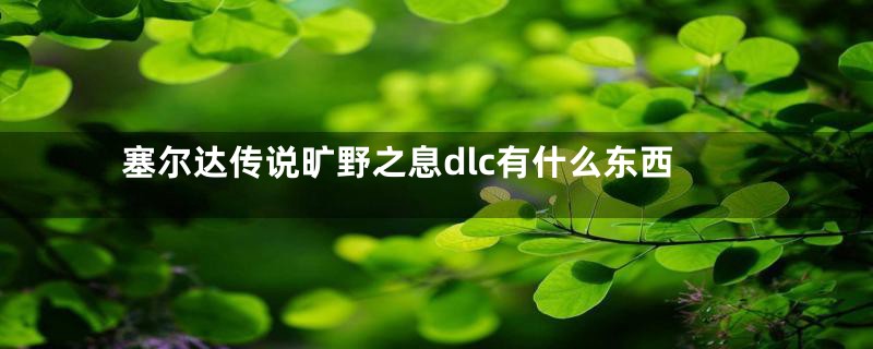 塞尔达传说旷野之息dlc有什么东西