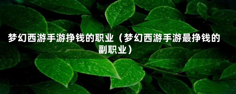 梦幻西游手游挣钱的职业（梦幻西游手游最挣钱的副职业）
