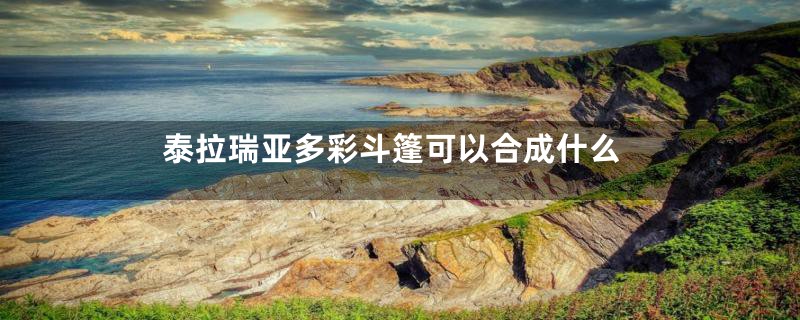 泰拉瑞亚多彩斗篷可以合成什么