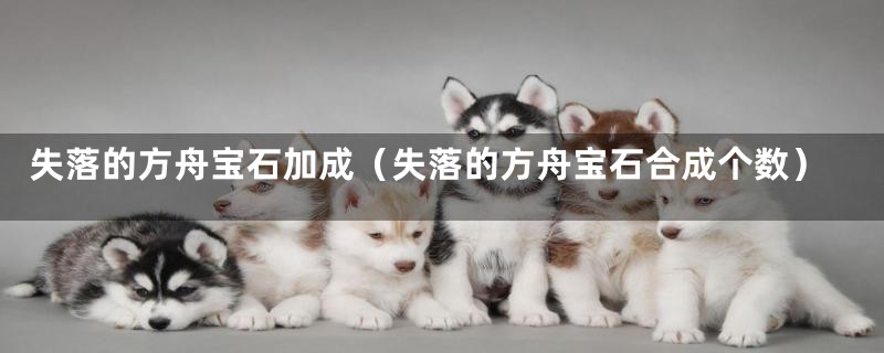 失落的方舟宝石加成（失落的方舟宝石合成个数）